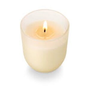 Illume Luxury Soy Candle in Hinoki Sage, size 4.8 oz